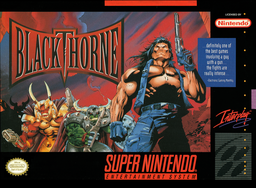 Blackthorne Cover