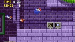 Sonic the Hedgehog screenshot 2