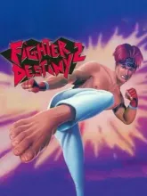 Fighter Destiny 2 cover